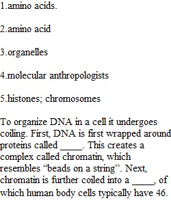 Chapter 3 Quiz